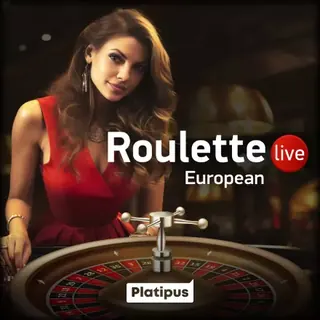 Roulette European – tafelspel bij DiscoWin Casino