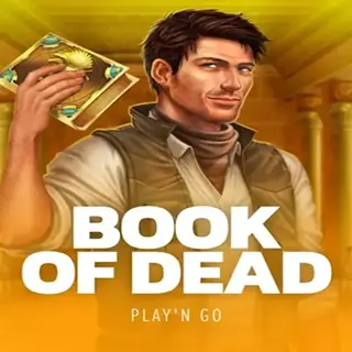 Book of Dead – slot bij DiscoWin Casino